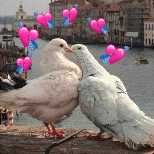Sticker Image