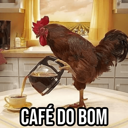 Galo do Café 🐔 12