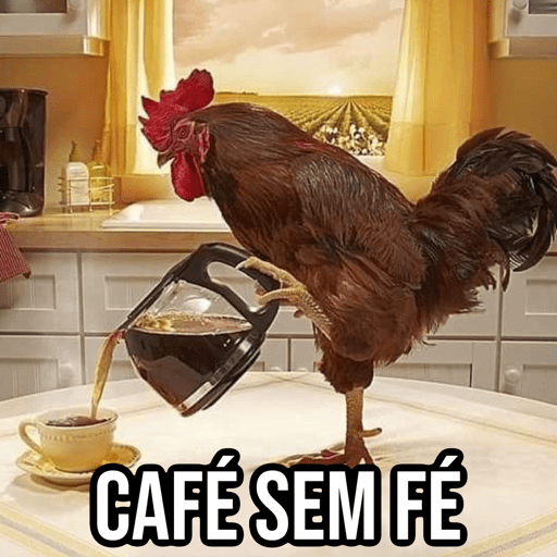 Galo do Café 🐔 9