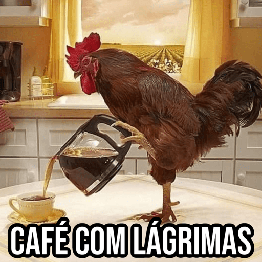 Galo do Café 🐔 4