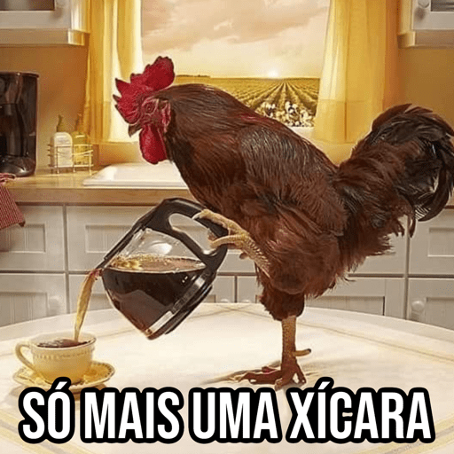 Galo do Café 🐔 11