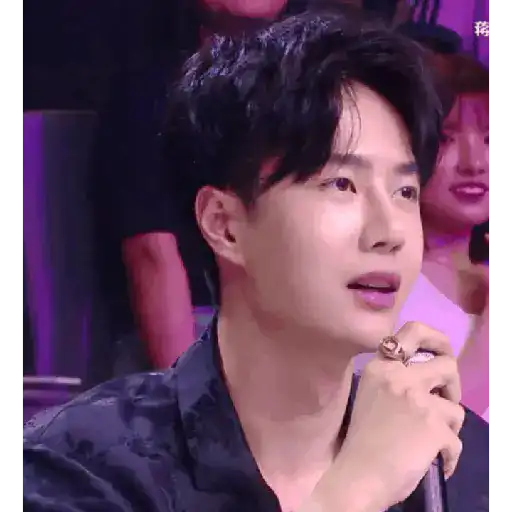 Wang Yibo 2.0