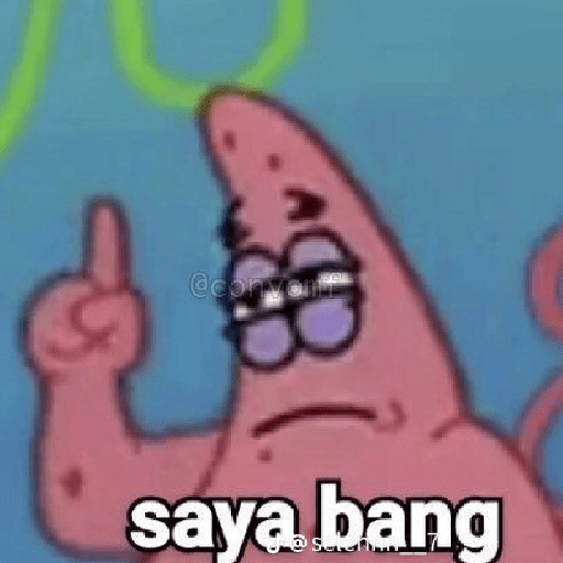 Patrick 15