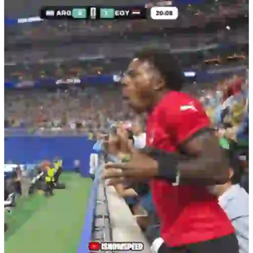Speedy 15