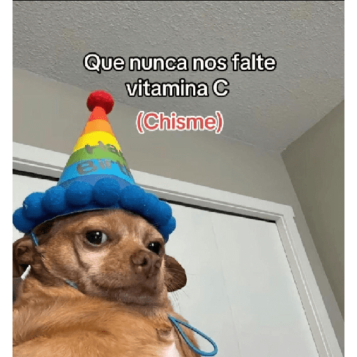 Varios 21