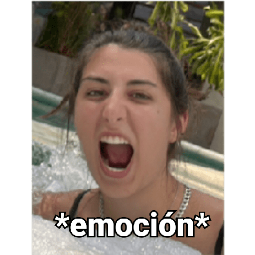 Varios 17