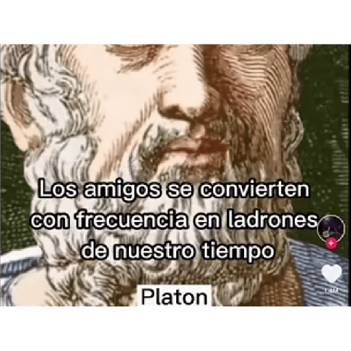 Stika 9