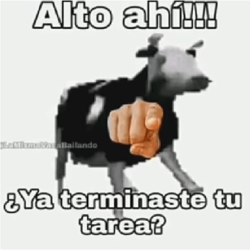 Stika 12