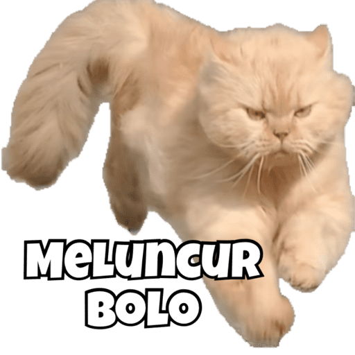 My stickers 15