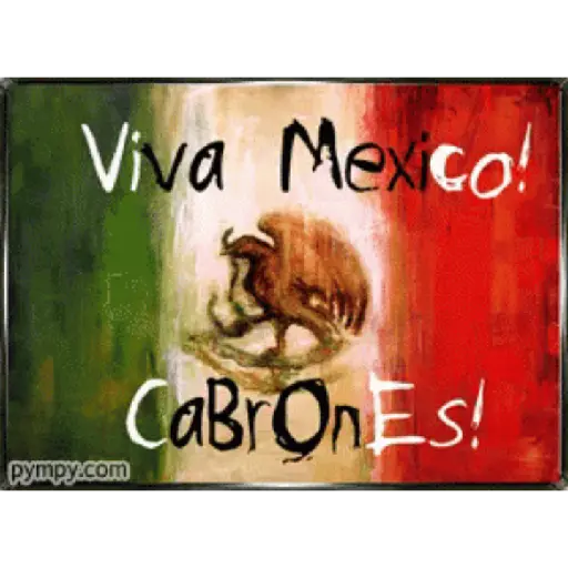 Gifs chivas 11