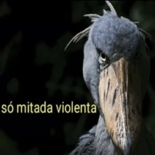 Eta bixo kkkk 2 23