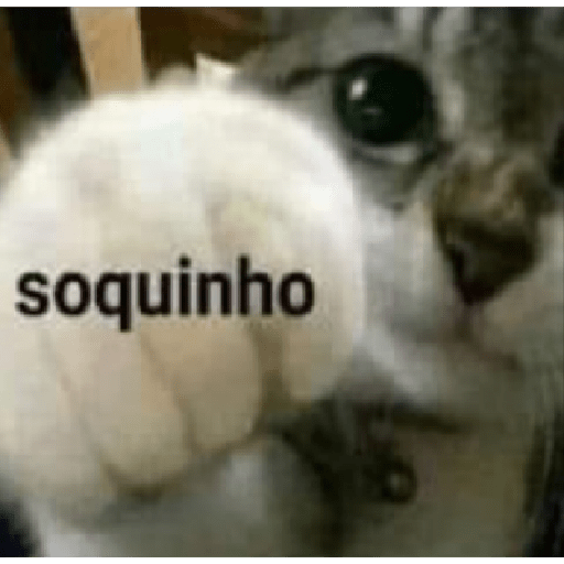 Eta bixo kkkk 2 24