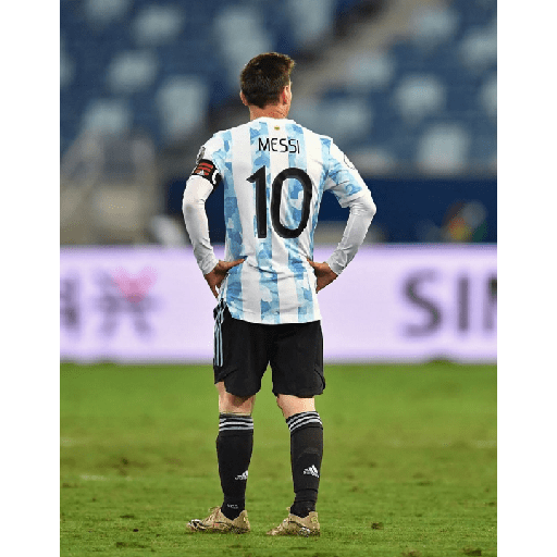 Messi 13