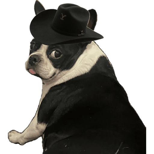 Sticker Image