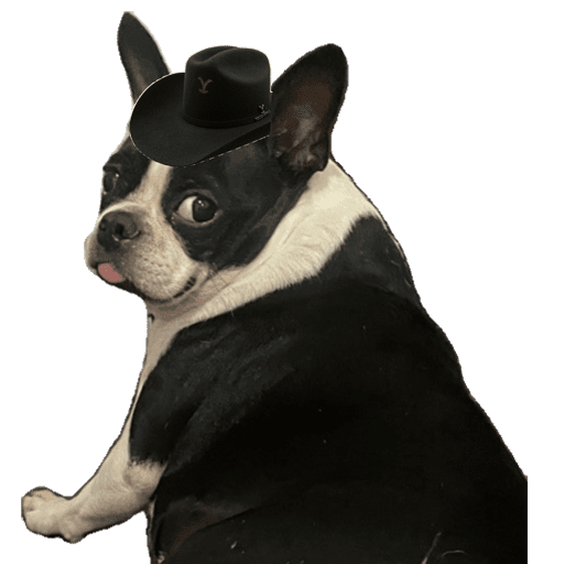 Sticker Image