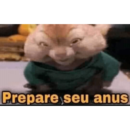 Nosepqsoyasi 12