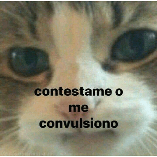 Nosepqsoyasi 2