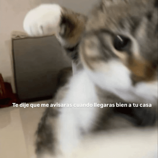 Ayo 2
