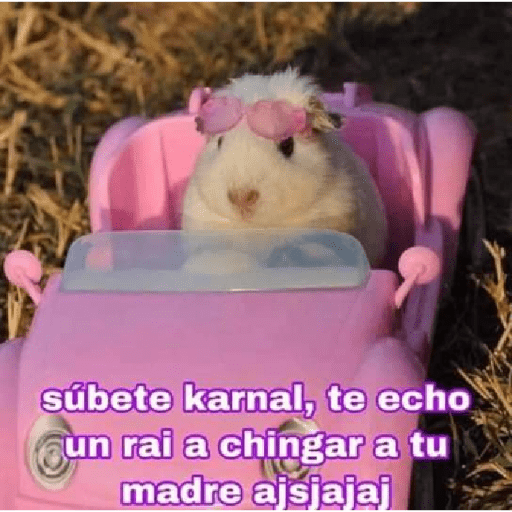 Memes mexicanos 3