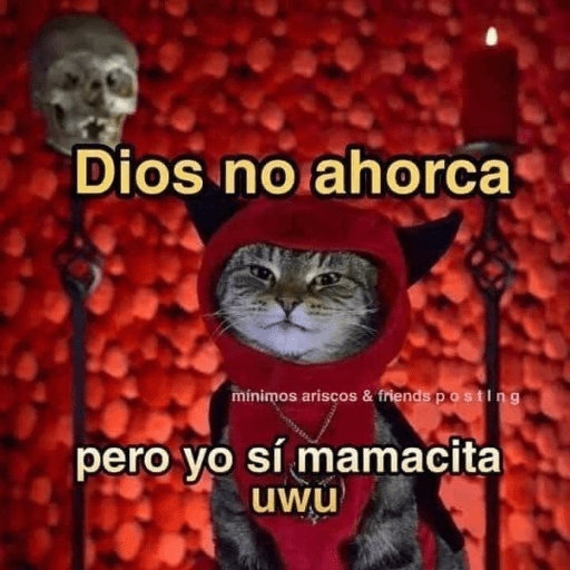 Memes mexicanos 28