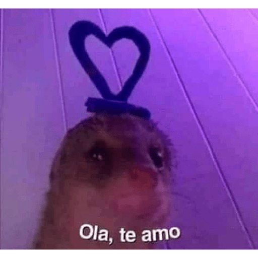 Memes mexicanos 6