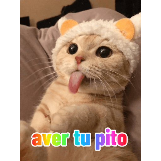 Memes mexicanos 29
