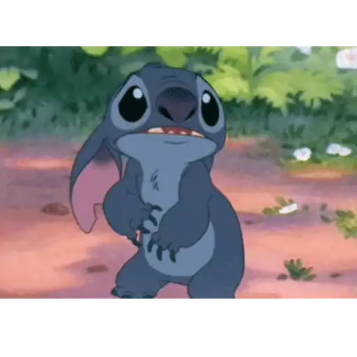 Stich 12