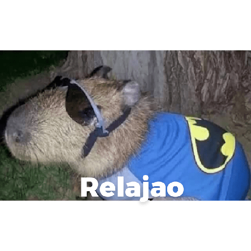 Aquí humildemente 14