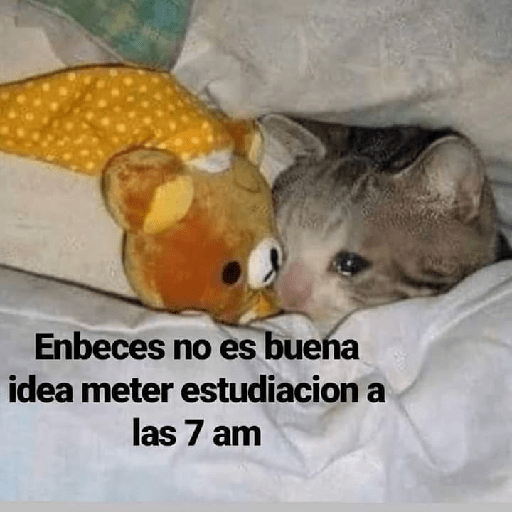 Aquí humildemente 12