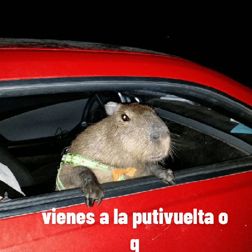 Aquí humildemente 20