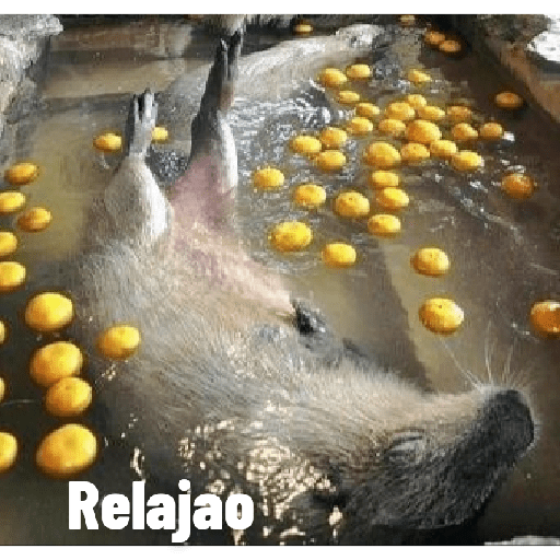 Aquí humildemente 21