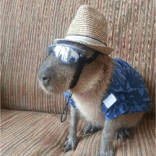 Aquí humildemente 26