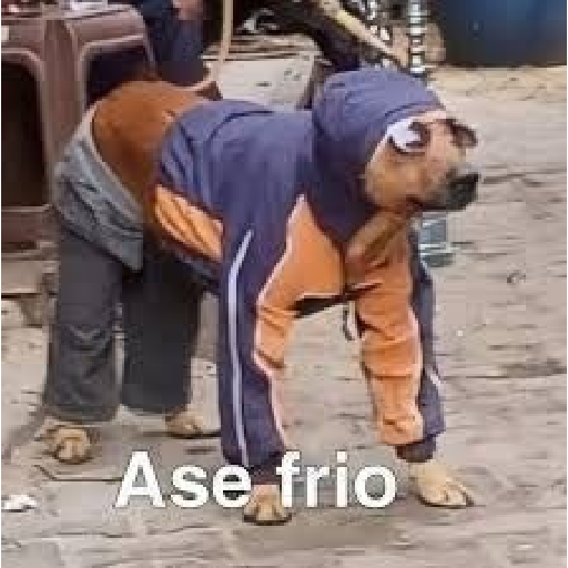Aquí humildemente 30