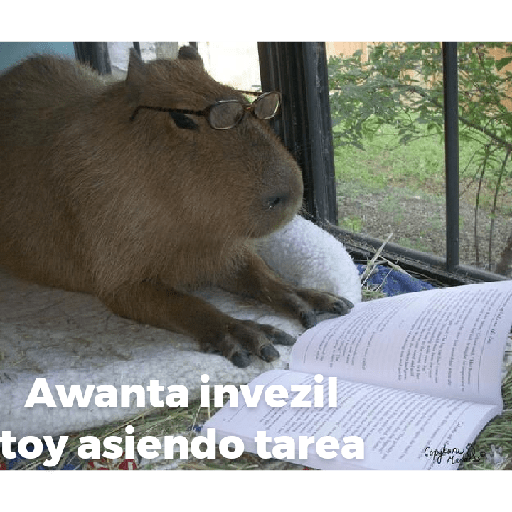 Aquí humildemente 15