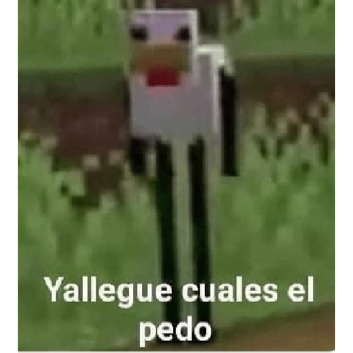 Aquí humildemente 3