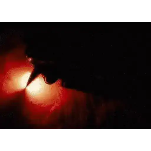 Tár gifs 12