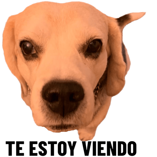 Pitufo 16