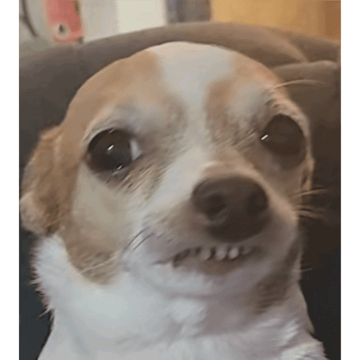 Zorra 14