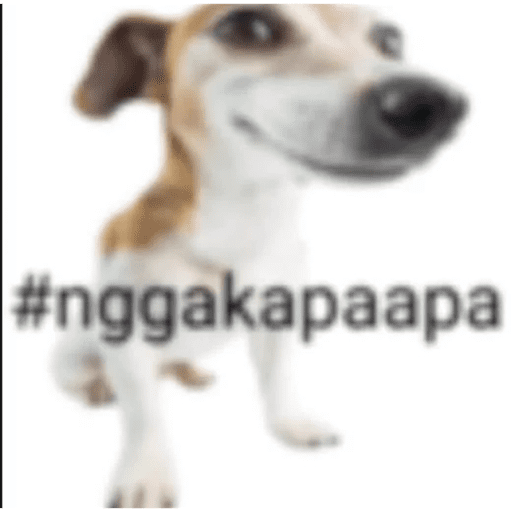 Kau uji kesabaranku?! 1
