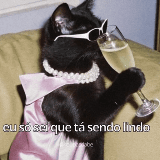 Gatinhos 25