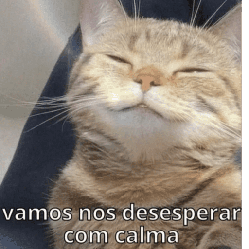 Gatinhos 27