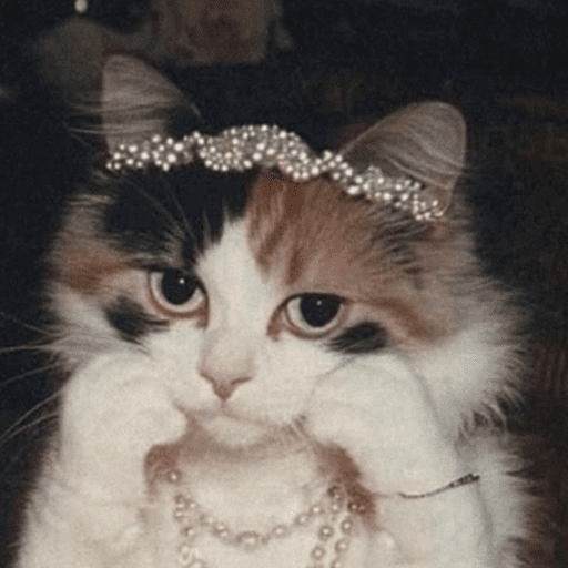 Gatinhos 13