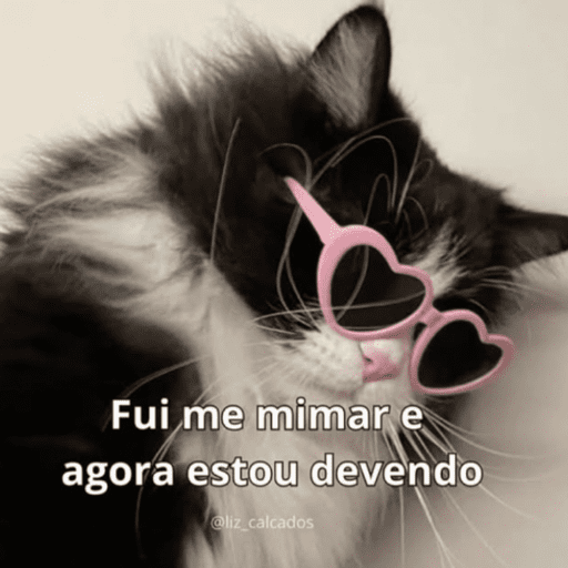 Gatinhos 5