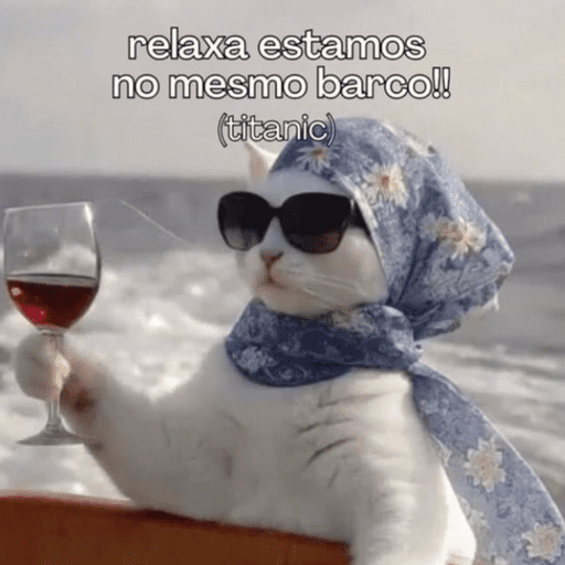 Gatinhos 16