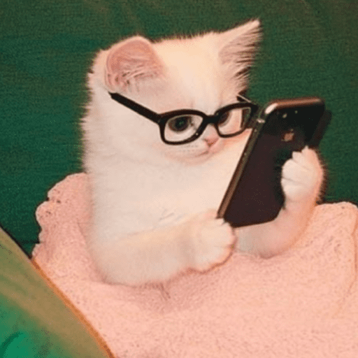Gatinhos 3