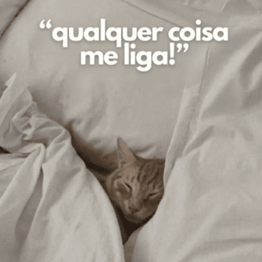 Gatinhos 26