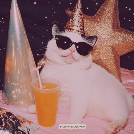 Gatinhos 14