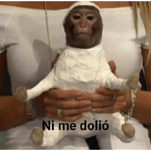 Stickers divertidos  🤑💪🏿 10