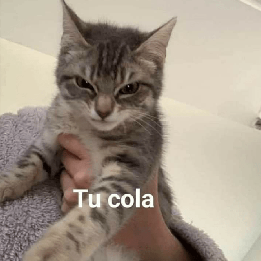 Stickers divertidos  🤑💪🏿 9