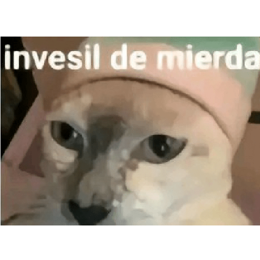Stickers divertidos  🤑💪🏿 15